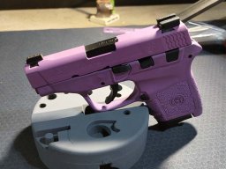Smith &amp; Wesson Bodyguard Done in Wild Purple